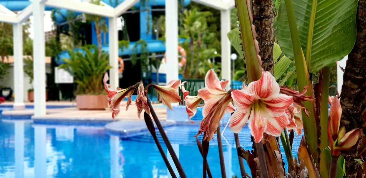 El Estudio De La Playa Benalbeach Holidays Deluxe Benalmadena Exterior photo
